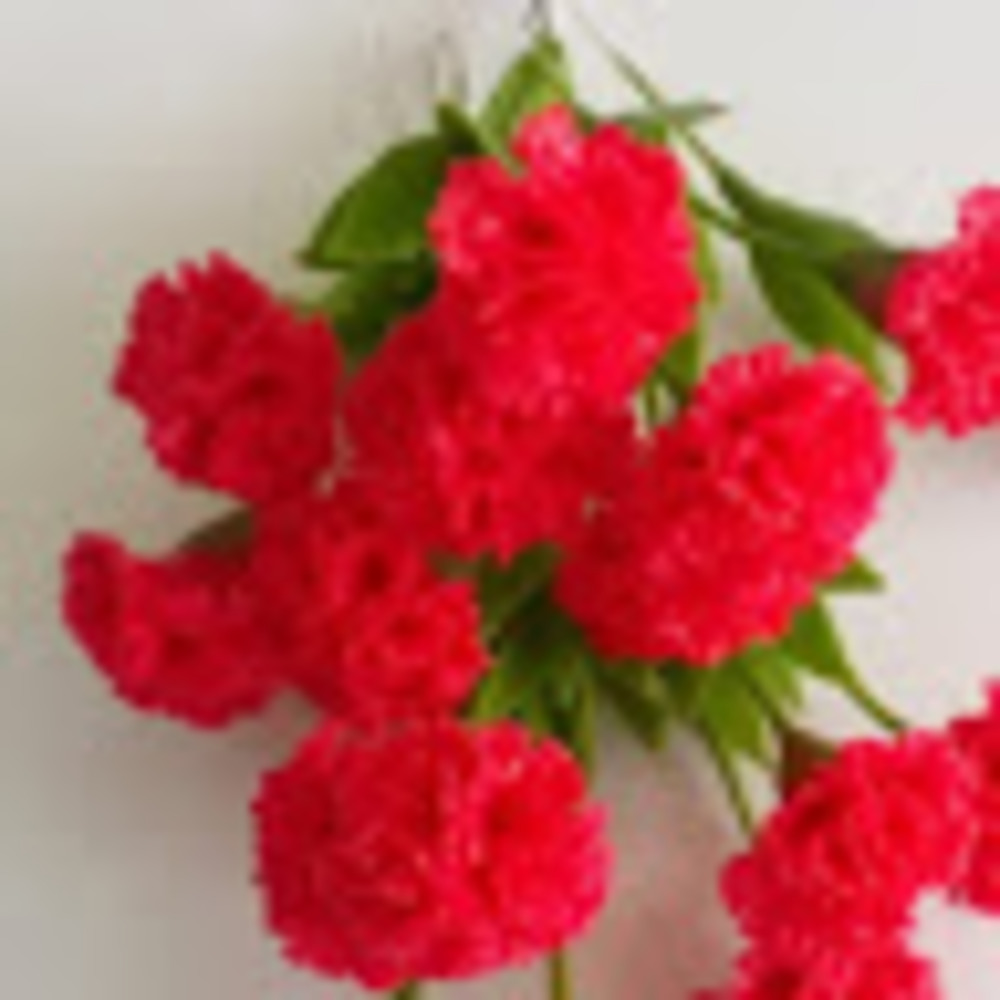 Meet your Posher, Grecia r